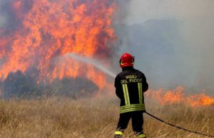 paura-a-villacidro-fiamme-nella-pineta-il-rogo-and-egrave-doloso