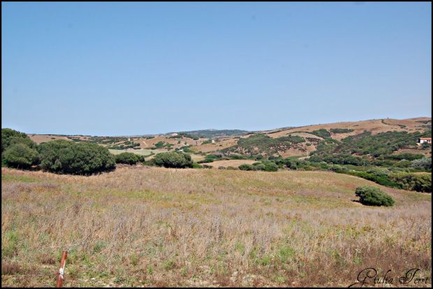 Piano paesaggistico piano-paesaggistico-il-sottosegretario-scrive-a-la-stampa-and-ldquo-a-rischio-un-patrimonio-unico-and-rdquo