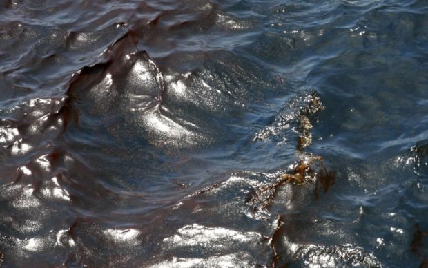 Emergenza inquinamento in Gallura emergenza-inquinamento-in-gallura-marea-nera-tra-olbia-e-arzachena