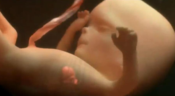 and-quot-l-odissea-della-vita-and-quot-il-coinvolgente-video-dei-nove-mesi-nel-grembo-materno