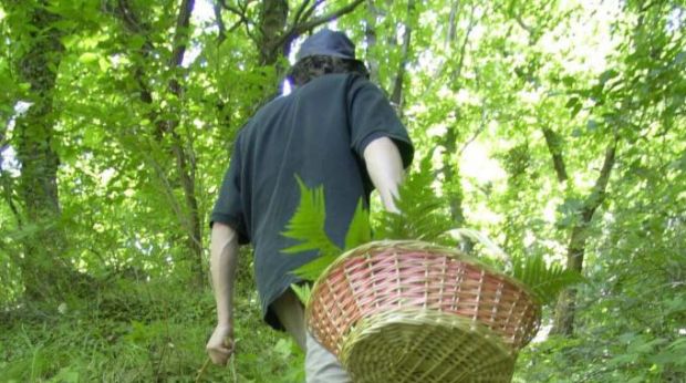 anziano-cercatore-di-funghi-disperso-a-pula