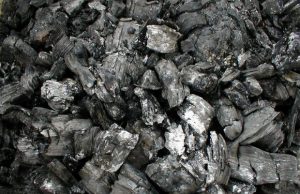 Carbone, Wwf, il ricorso della regione Sardegna al Tar è un danno ed una evidente frenata verso l’innovazione carbone-davanti-alla-sede-di-bankitalia