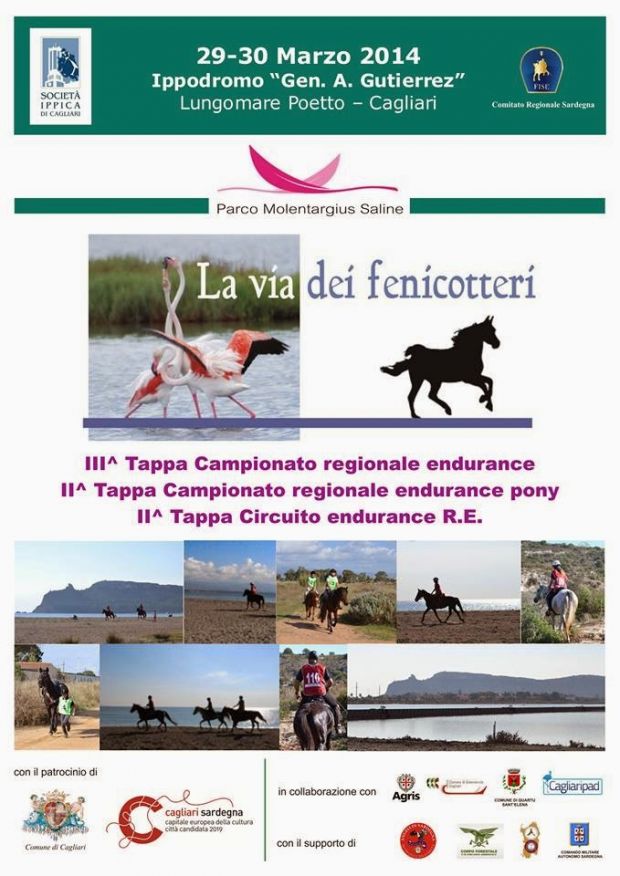 Nel week end le corse all’ippodromo nel-week-end-le-corse-all-and-rsquo-ippodromo