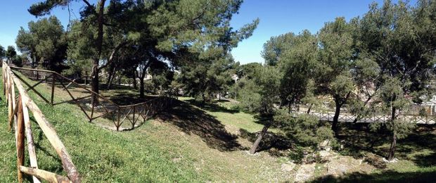 piazza-d-armi-apre-la-nuova-area-cani