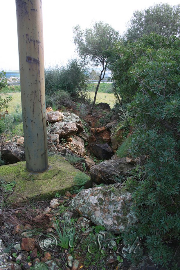 palo-della-luce-conficcato-in-tomba-dei-giganti-la-denuncia-di-un-archeologo