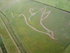 land-art-a-villasor-una-gigantesca-and-ldquo-pavoncella-de-frores-and-rdquo-nei-terreni-della-centrale