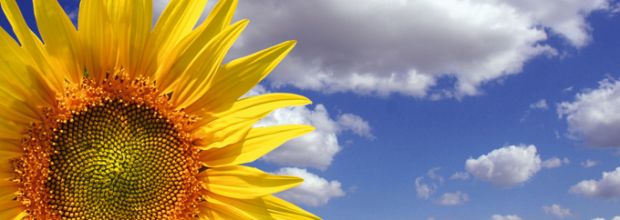 gli-studenti-di-ingegneria-a-moratti-and-ldquo-l-and-rsquo-energia-alternativa-si-ottiene-anche-pestando-i-piedi-and-rdquo