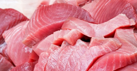 Sequestrati 65 kg di tonno rosso: andranno in beneficenza sequestrati-65-kg-di-tonno-rosso-andranno-in-beneficenza