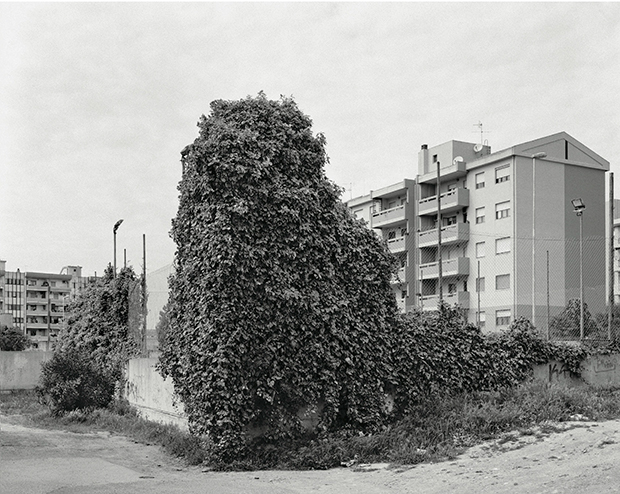 this-is-mirrionis-mostra-reportage-scatti-d-autore-a-san-michele-e-is-mirrionis