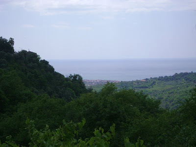 modifica-usi-civici-la-consulta-boccia-il-piano-della-regione