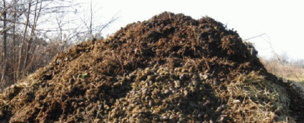 la-finanza-sequestra-tonnellate-di-concimi-con-pesticidi-in-sardegna-e-puglia