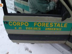carbonia-minorenne-fermato-mentre-appicca-un-incendio