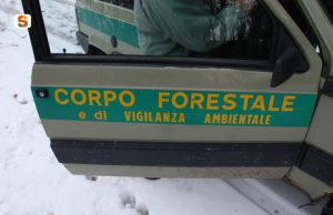 carbonia-minorenne-fermato-mentre-appicca-un-incendio