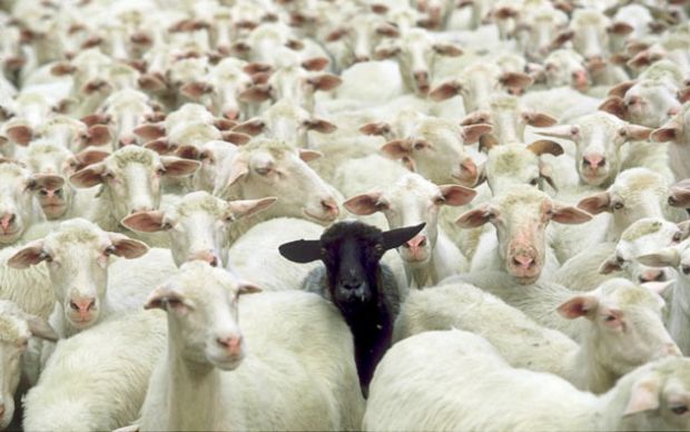 istituto-zooprofilattico-sperimentale-si-dimette-marabelli-la-giunta-regionale-vara-nuovo-statuto