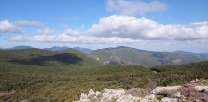 inseguimento-nel-bosco-denunciati-quattro-bracconieri