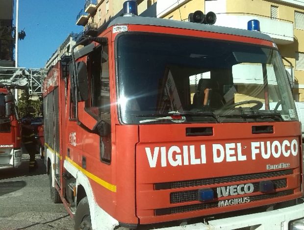 Pompieri e Polizia municipale salvano gatta e cuccioli pompieri-e-polizia-municipale-salvano-gatta-e-cuccioli