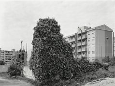 boom-di-visite-per-this-is-mirrionis-oltre-4-mila-in-un-mese