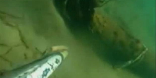 pili-unidos-a-capo-frasca-un-fondale-di-bombe-video