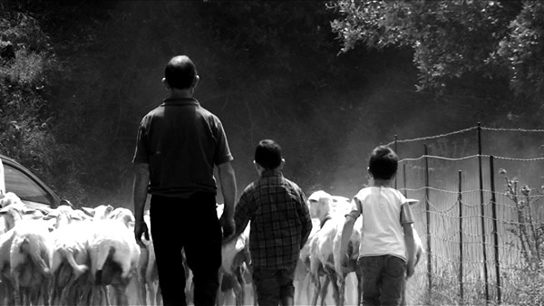 and-ldquo-capo-e-croce-and-rdquo-il-film-sui-pastori-vince-al-festival-di-lessinia