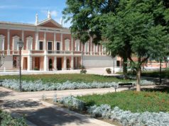 galleria-comunale-e-palazzo-di-citt-and-agrave-gratis-ogni-prima-domenica-del-mese