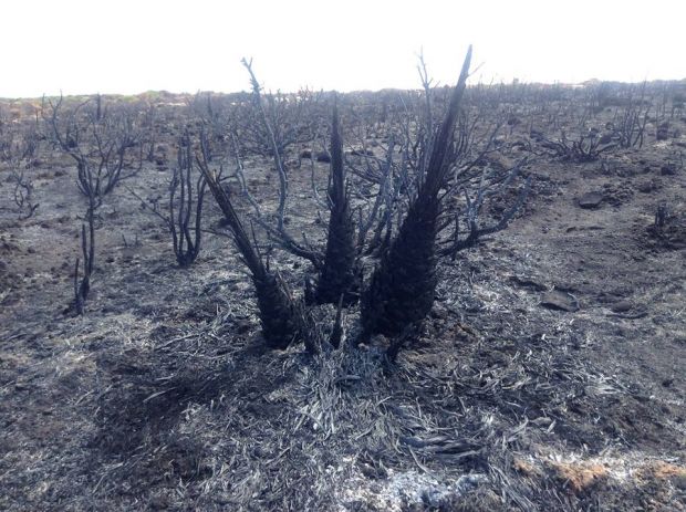 poligoni-regione-stop-alle-esercitazioni-nel-periodo-rischio-incendi-approvata-la-delibera