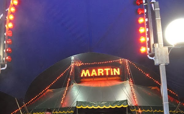 maltrattamenti-sequestrati-tutti-gli-animali-del-circo-martin-lav-and-ldquo-soddisfazione-and-rdquo