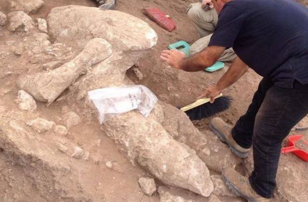 le-meraviglie-di-mont-and-rsquo-e-prama-spunta-un-gigante-da-record