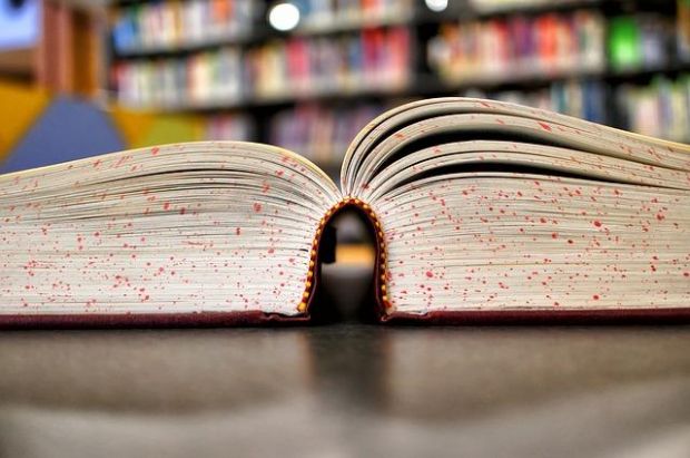 macomer-salva-la-fiera-del-libro-2014