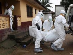 In città Stephan Becker uno dei massimi esperti di ebola in-citt-and-agrave-stephan-becker-uno-dei-massimi-esperti-di-ebola