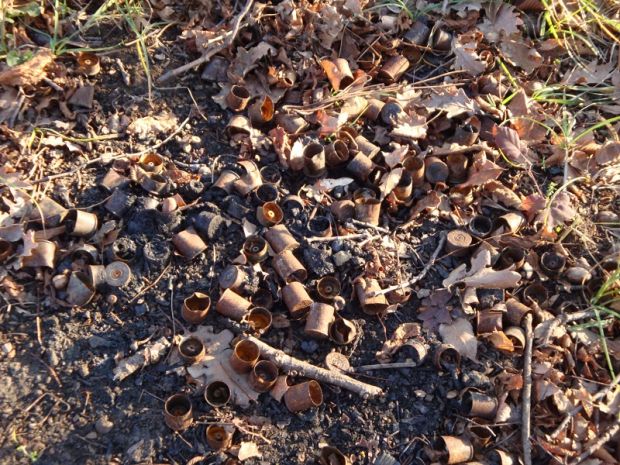 i-cacciatori-ambientalisti-raccolti-30-mila-bossoli-nei-boschi