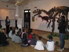 museo-storia-naturale-sotto-sfratto-lettera-di-protesta-del-presidente