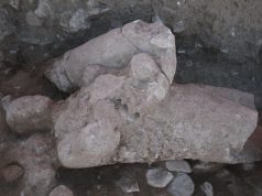 mont-and-rsquo-e-prama-and-ldquo-rinvenimento-eccezionale-and-rdquo-la-prima-statua-con-la-testa-attaccata-al-corpo