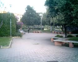 allarme-al-quartiere-del-sole-bocconi-al-veleno-nelle-aree-per-cani-morti-due-animali