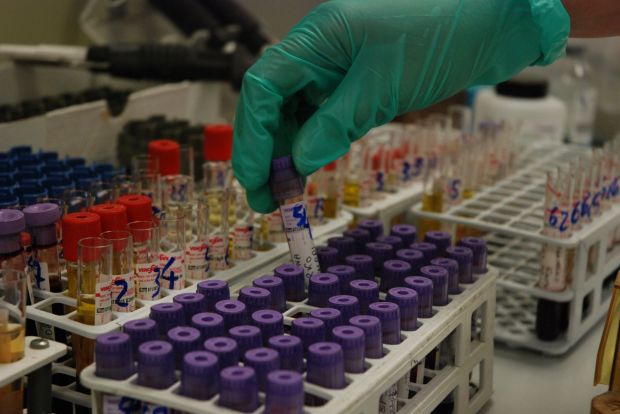 ebola-regione-and-ldquo-pronti-ad-affrontare-il-rischio-ma-niente-allarmismi-and-rdquo