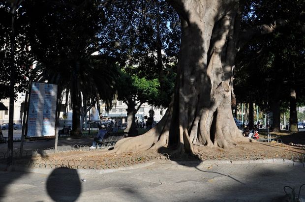 Erriu alle Ferrovie: “Piazza Matteotti e il parcheggio della stazione alla Regione” erriu-alle-ferrovie-and-ldquo-piazza-matteotti-e-il-parcheggio-della-stazione-alla-regione-and-rdquo