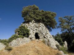 nurnet-allarme-nuraghi-and-ldquo-la-vegetazione-pu-and-ograve-distruggerli-and-rdquo
