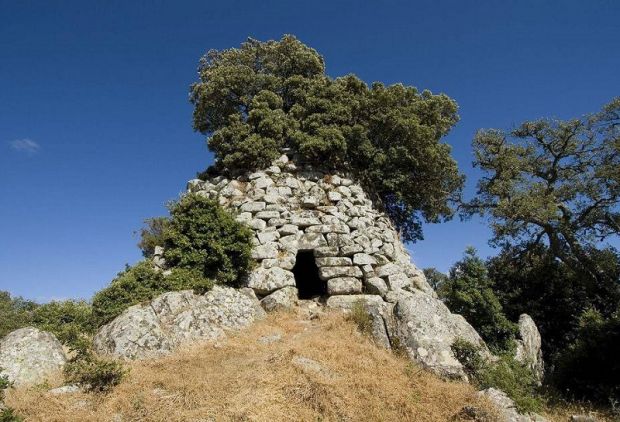 nurnet-allarme-nuraghi-and-ldquo-la-vegetazione-pu-and-ograve-distruggerli-and-rdquo