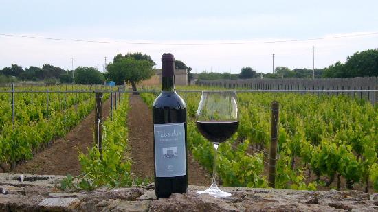 Sulcis sulcis-il-carignano-conquista-il-giappone