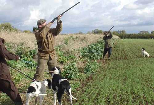 spara-inavvertitamente-e-colpisce-il-proprio-piede-ferito-un-cacciatore
