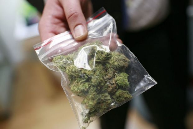 Nove kg di marijuana e un fucile in casa nove-kg-di-marijuana-e-un-fucile-in-casa-arrestato