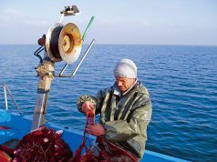 la-rabbia-dei-pescatori-sardi-and-ldquo-occupazione-pu-and-ograve-aumentare-del-50-and-rdquo