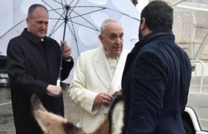 thea-l-and-rsquo-asinella-sarda-donata-a-papa-francesco