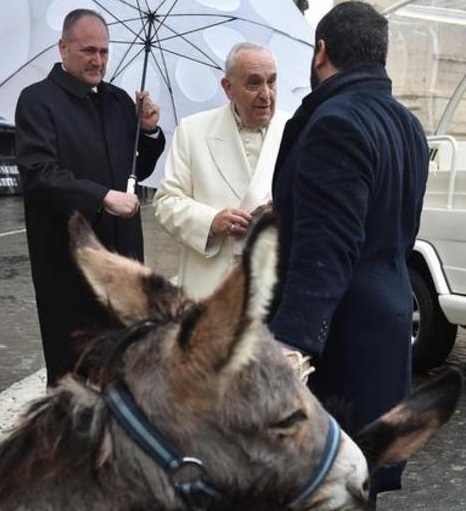 thea-l-and-rsquo-asinella-sarda-donata-a-papa-francesco