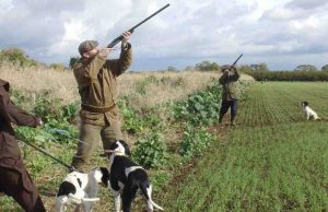 Caccia, un ferito a Is Cannoneris, terzo incidente in due giorni caccia-un-ferito-a-is-cannoneris-terzo-incidente-in-due-giorni
