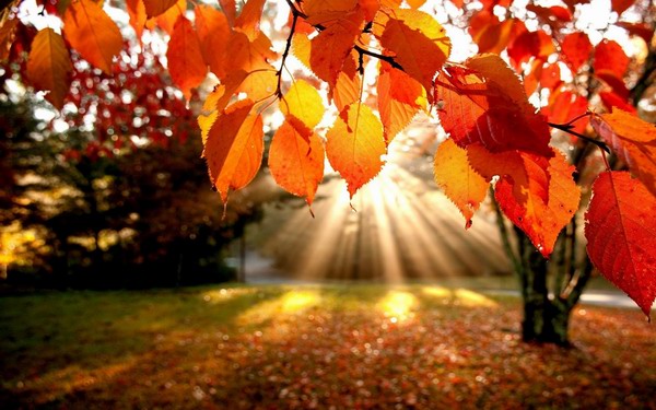 temperature-di-nuovo-in-aumento-nel-week-end-si-and-quot-rischia-and-quot-natale-caldo