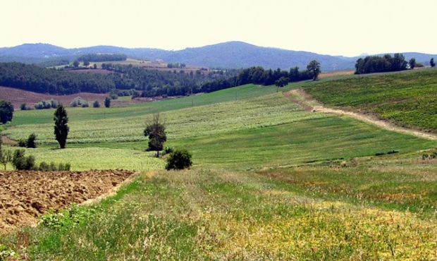 la-terra-a-chi-non-lavora-proposta-sel-per-locazione-terreni-pubblici-a-giovani-agricoltori