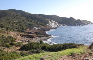 conservatoria-delle-coste-internalizzata-nell-and-rsquo-assessorato-fondo-da-7-milioni-per-l-and-rsquo-acquisto-di-aree