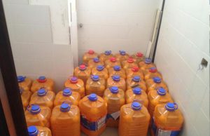 igea-voti-in-cambio-di-gasolio-l-and-rsquo-auto-aziendale-per-andare-a-cercare-funghi