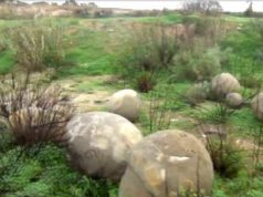 Sfere di pietra preistoriche scoperte in una discarica – VIDEO e FOTO sfere-di-pietra-preistoriche-scoperte-in-una-discarica-video-e-foto