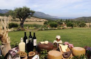 expo-piattaforma-digitale-per-prodotti-tipici-sardi